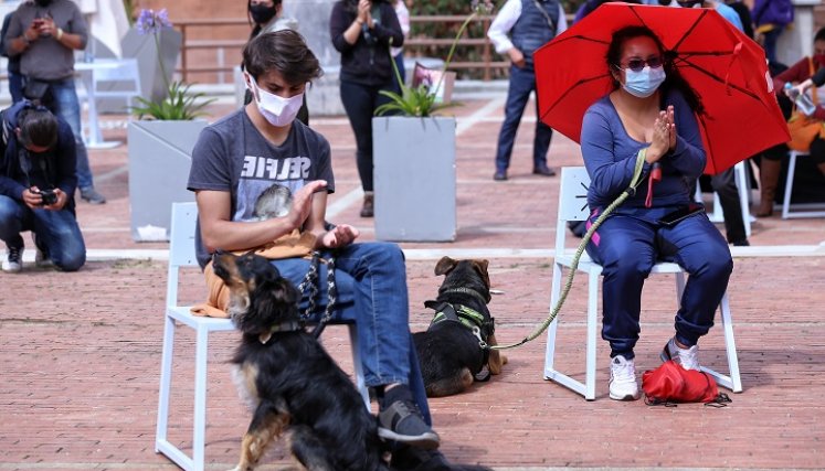 Los animales de compañía se han vuelto cada vez más importantes para las familias. /Foto archivo Colprensa