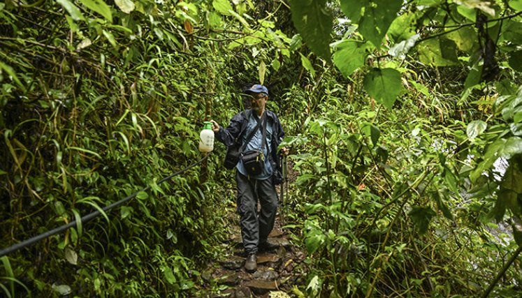 Mariposas en Colombia.