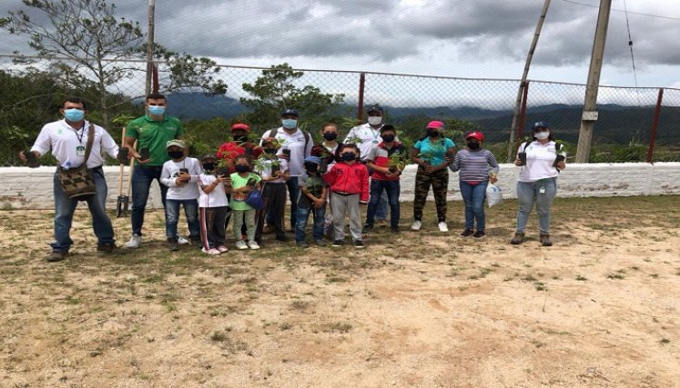 En acciones conjuntas entidades articulan planes para la siembra de árboles.