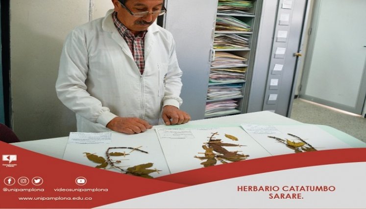 El profesor también coordina el Semillero de Investigación. / Cortesía/ La Opinión 