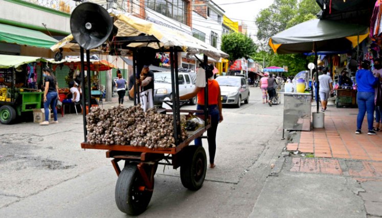 Carretas abundan en el centro de la ciudad.