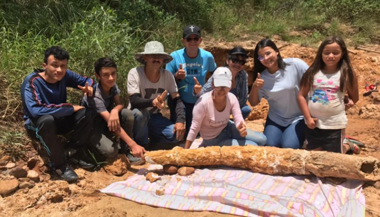 La pieza fosilizada es un colmillo de un Haplamastodon, un mastodonte americano de la Era Cuaternaria. / Foto: Cortesía
