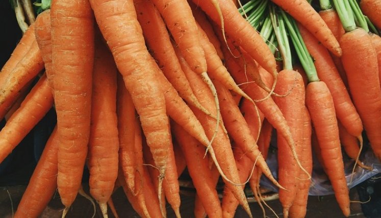 Piden mejor distribución de alimentos. 