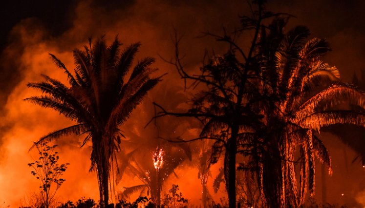 Los incendios en la Amazonía brasileña cuando comenzó la temporada de incendios se mantuvo cerca de los máximos de casi una década. / Foto: AFP