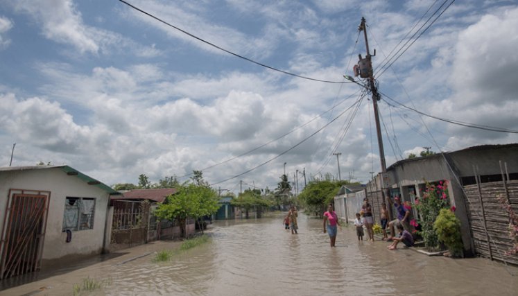 En La Fortuna, en el estado Zulia, los agricultores perdieron sus cultivos por las lluvias e inundaciones de los últimos días./ Foto: AFP