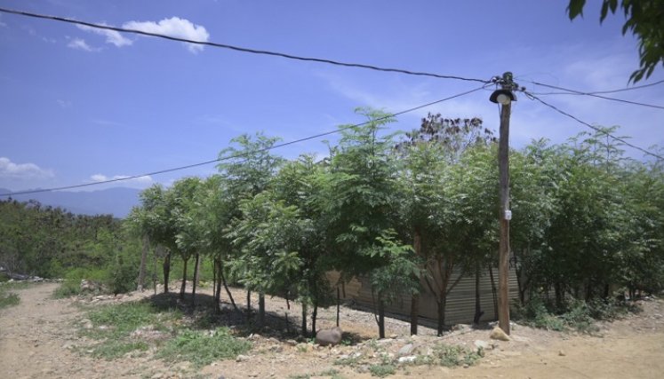 No se ha instalado sistema eléctrico ni alcantarillado porque la zona está catalogada como alto riesgo.