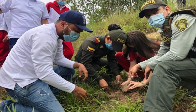 En el marco de la celebración del día del árbol los niños son los protagonistas sembrando especies nativas en Ocaña.