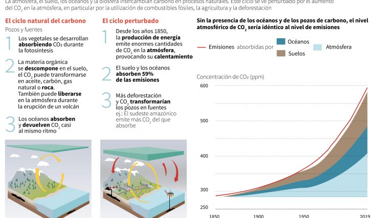 Datos del carbono