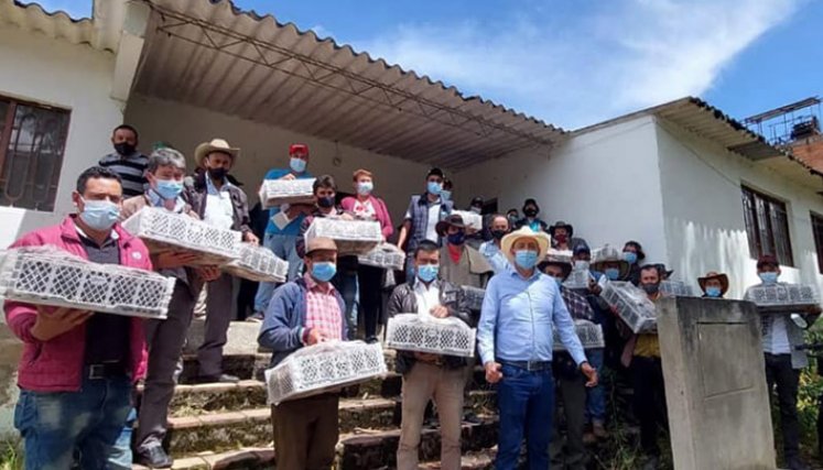 El alcalde Carlos Flórez entregó las semillas a los productores campesinos. Foto: Cortesía/La Opinión.