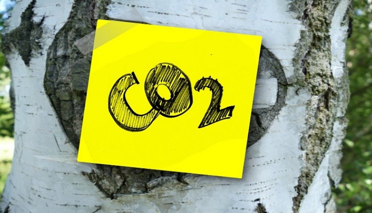 Hay que reducir el gas carbónico