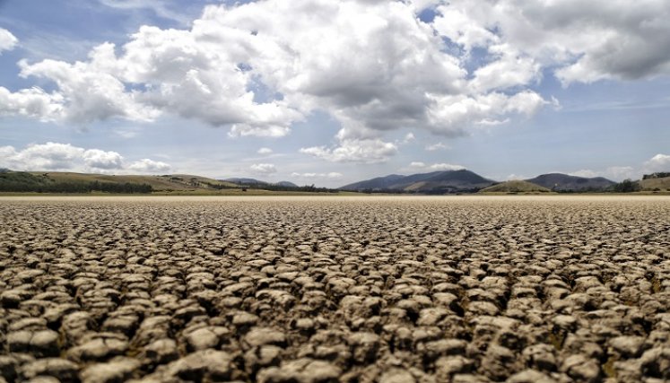 La Laguna de Suesca se está secando. El afluente, que ha llegado a tener niveles históricos de agua de hasta 5 metros con 70 centímetros, hoy tiene un nivel de solo 1,03 metros. 