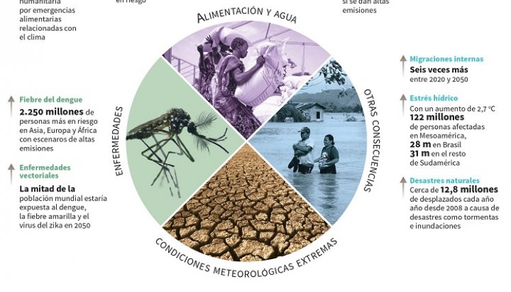 Consecuencias del cambio climático: Foto: AFP 