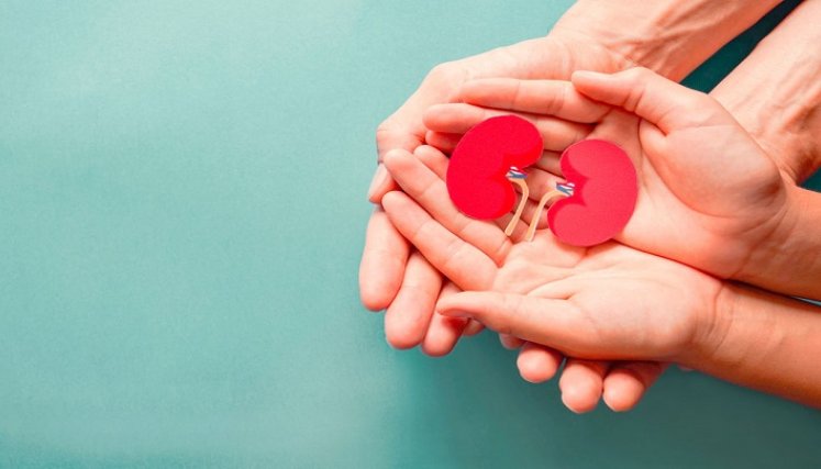 Donar órganos salva vidas