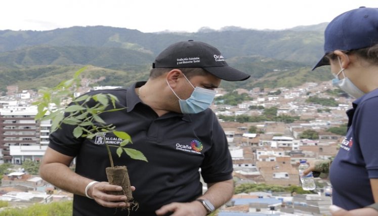 La administración municipal coordina los planes de reforestación en la zona rural.