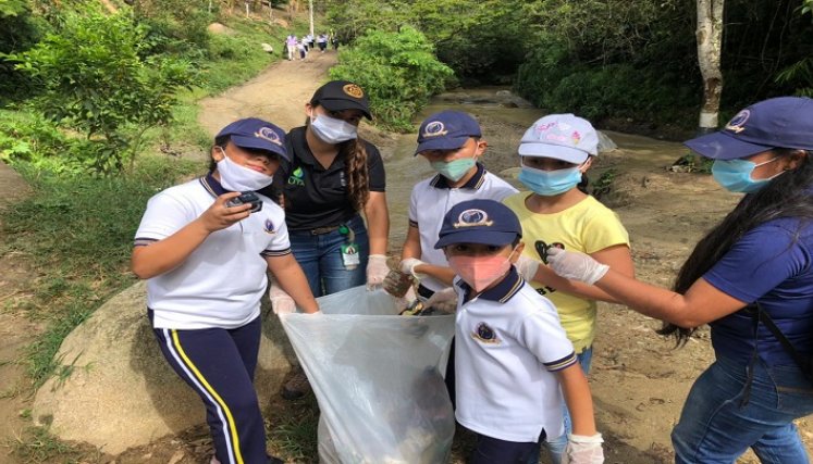 Sembraron 50 individuos nativos forestales de Guayacán Amarillo. Foto: Cortesía / La Opinión 