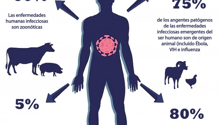 Zoonosis.