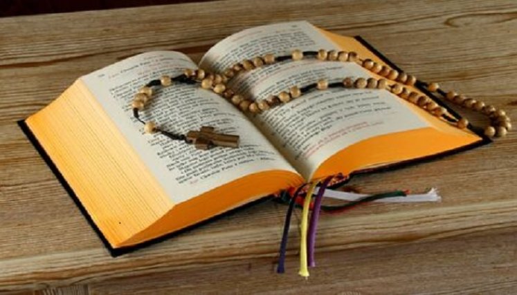 Tutela ordena a la Policía suspender compra de biblias./Foto: internet