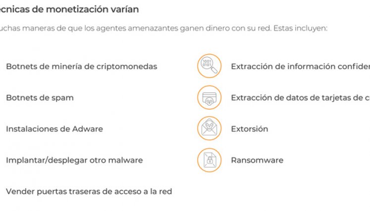 Técnicas de monetización. / Gráfico: Lumu Technologies