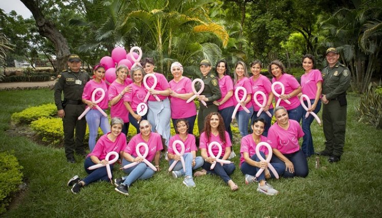 Fundación Dimensión Rosa.