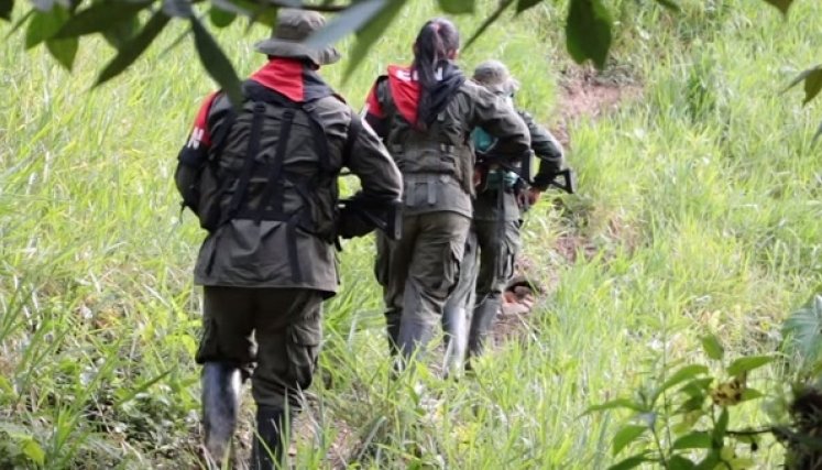 La guerrilla, controla varios territorios fronterizos y del Catatumbo.