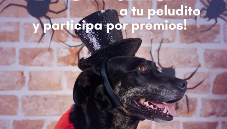 El plazo máximo de inscripción es hasta el viernes 29 de octubre de 2021.