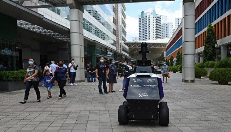 Robots tienen siete cámaras.