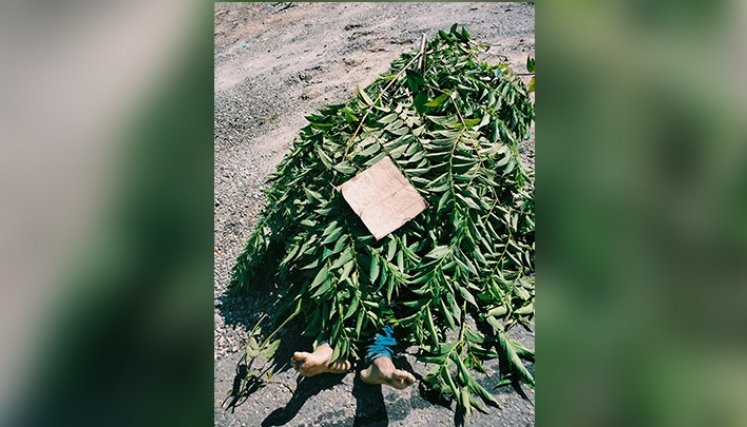 La víctima recibió seis impactos de bala.