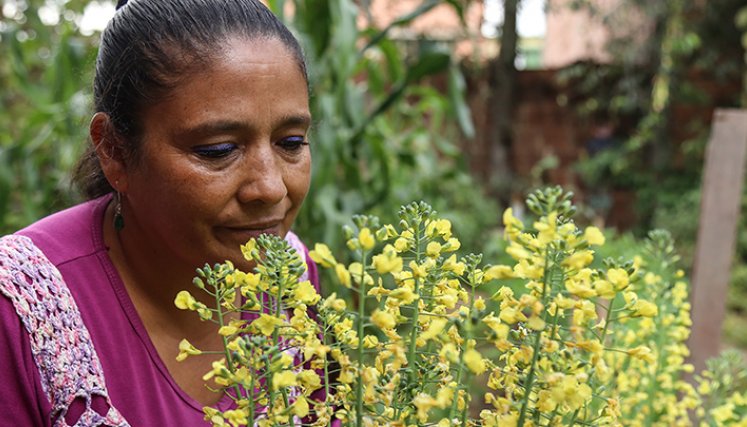 ¿Cuál es el rol de las mujeres en el campo colombiano?