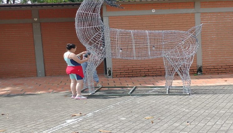 Las mujeres son las encargadas de tejer las estructuras con las instalaciones.