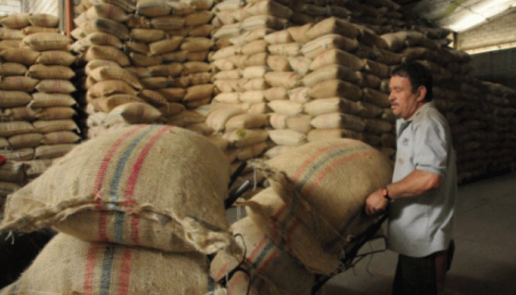 Precio interno del café sigue disparado, llegó a récord de $2,16 millones