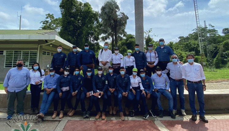 : La empresa nortesantandereana Palmicultores de Norte de Santander (Palnorte) S.A.S. obtuvo el Premio al Mérito Empresarial de la Universidad Simón Bolívar en su edición especial 2020