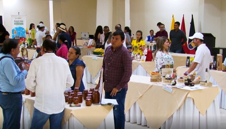 Negocios ambientales en Norte de Santander