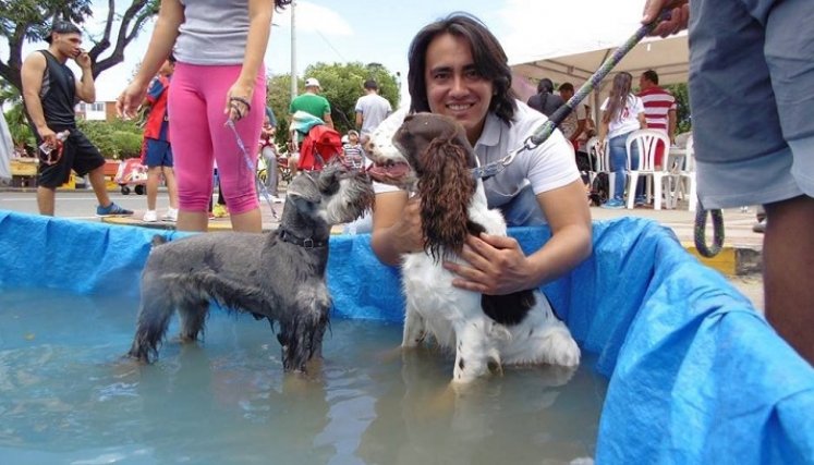 El concejal Víctor Caicedo ha logrado sacar adelante varios proyectos en favor de los animales./Foto Archivo La Opinión