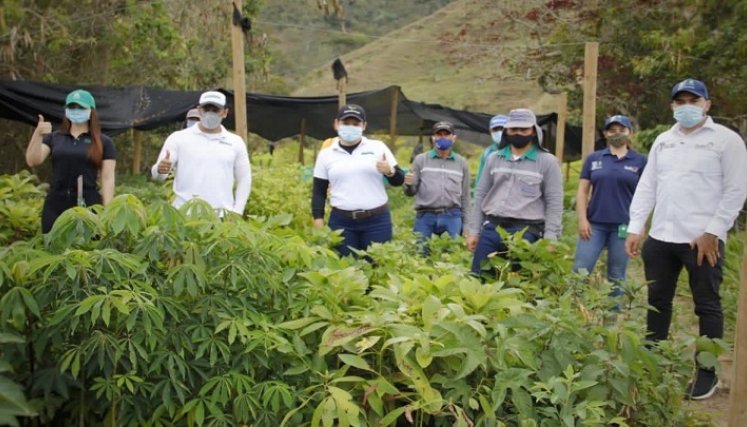 La entidades ambientales ponen el granito de arena para la conservación del planeta.