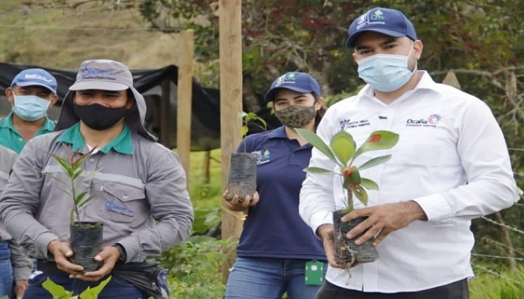 En el vivero se produce material vegetal para recuperar las cuencas hidrográficas.