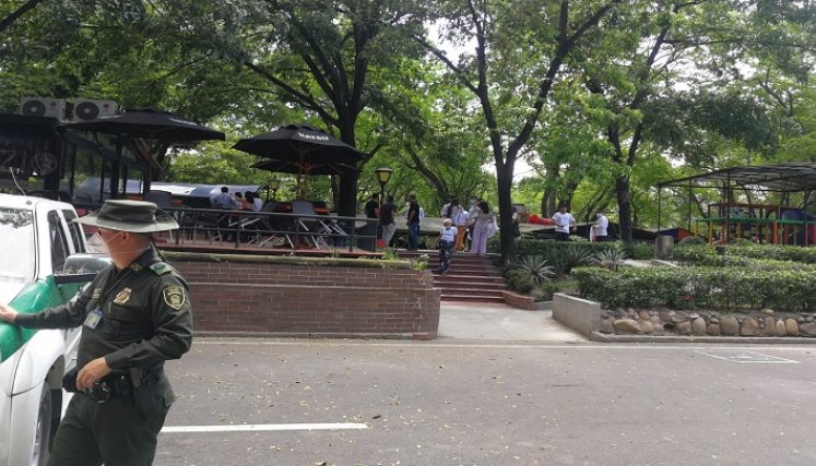 Pánico en El Malecón por ataque de abejas africanas./Foto: La Opinión