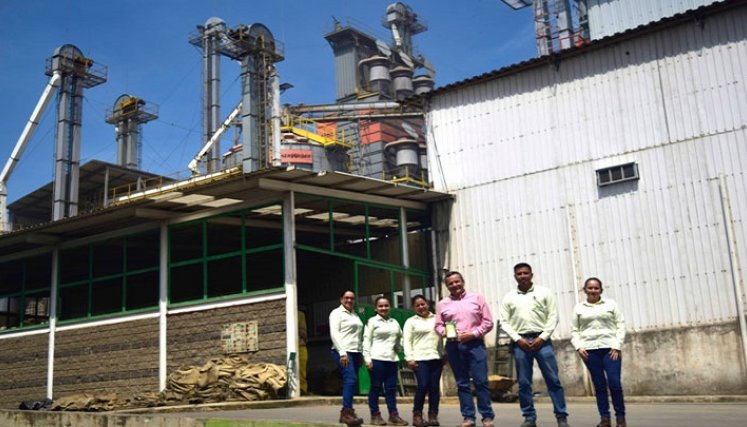 El arroz nortesantandereano será empaquetado en piedra./Foto: cortesía