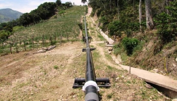 205.000 barriles  diarios, aproximadamente, transporta el oleoducto Caño Limón – Coveñas.afectado.