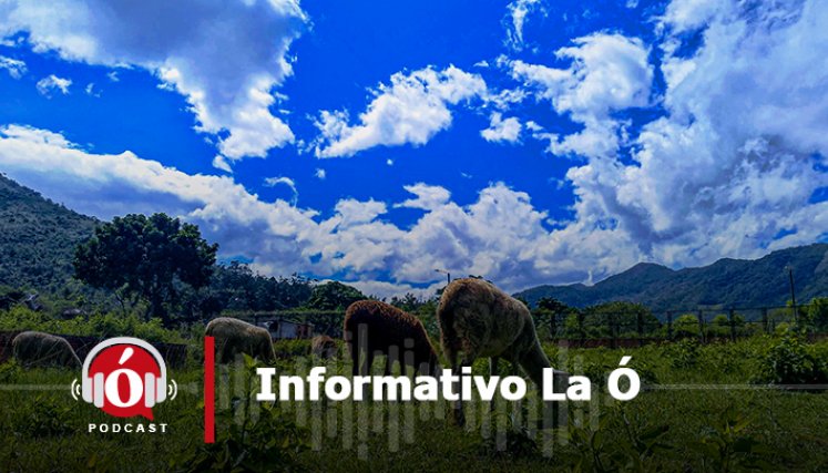 /La Opinión