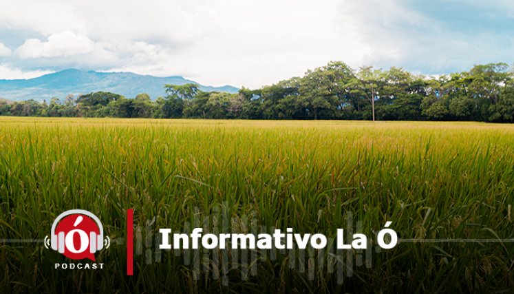 /La Opinión