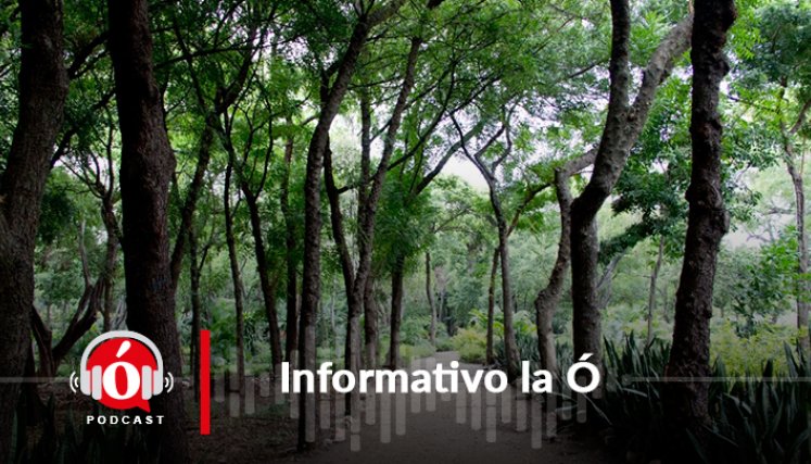 / La Opinión. 