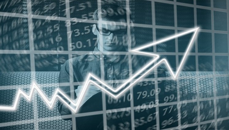 Negocios de empresas