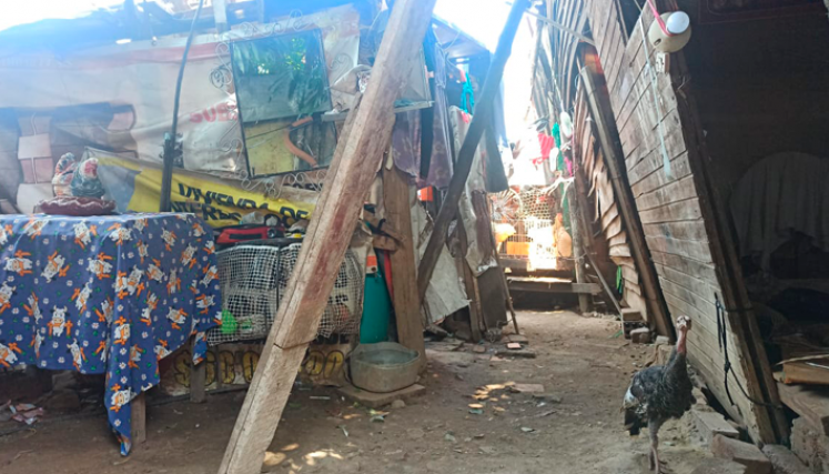 La casa está sostenida por algunos palos de madera.
