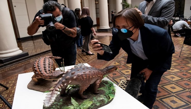 Dinosaurio Stegouros 