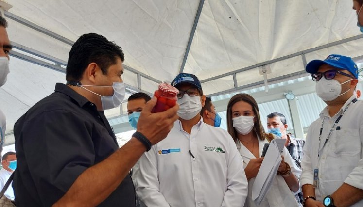 Festival agropecuario, la vitrina productiva para el Catatumbo.