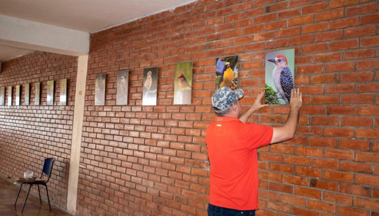 La exposición estará abierta hasta el 31 de diciembre. / Foto: Cortesía