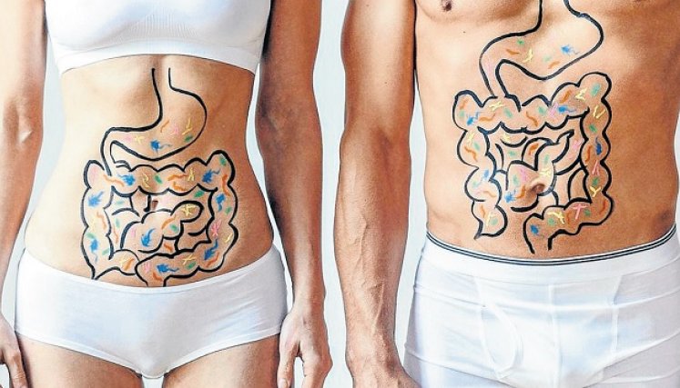 En diciembre, las enfermedades intestinales más frecuentes suelen ser: intoxicación, indigestión y en algunos casos, eventos de diarrea del viajero. 