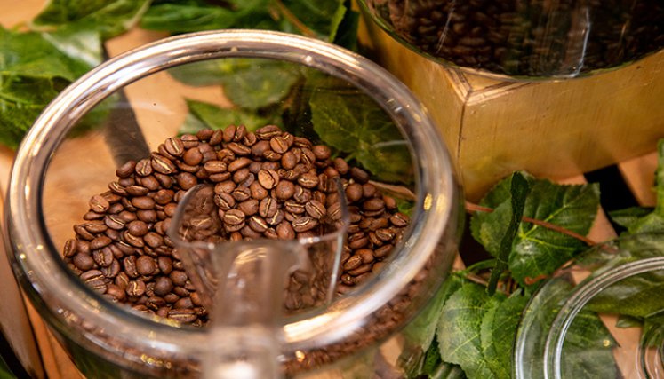 Producción de Café. 