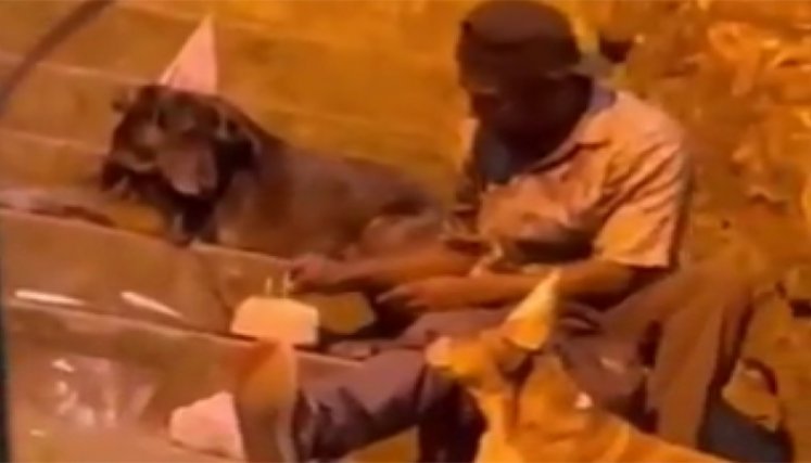 Habitante de calle celebra el cumpleaños de sus perros.