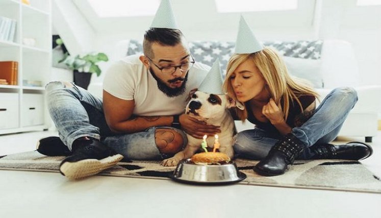 ¿Es malo ver a las mascotas como si fueran hijos?/Foto: internet